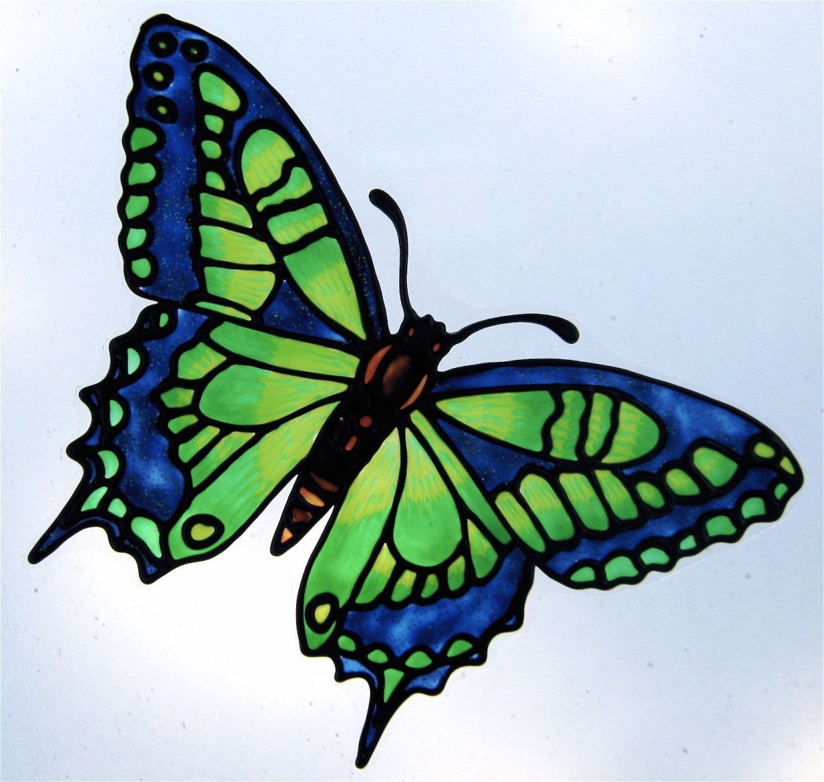 Бабочка Расписная рисунок