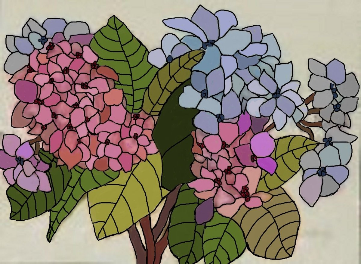 Гортензия витраж