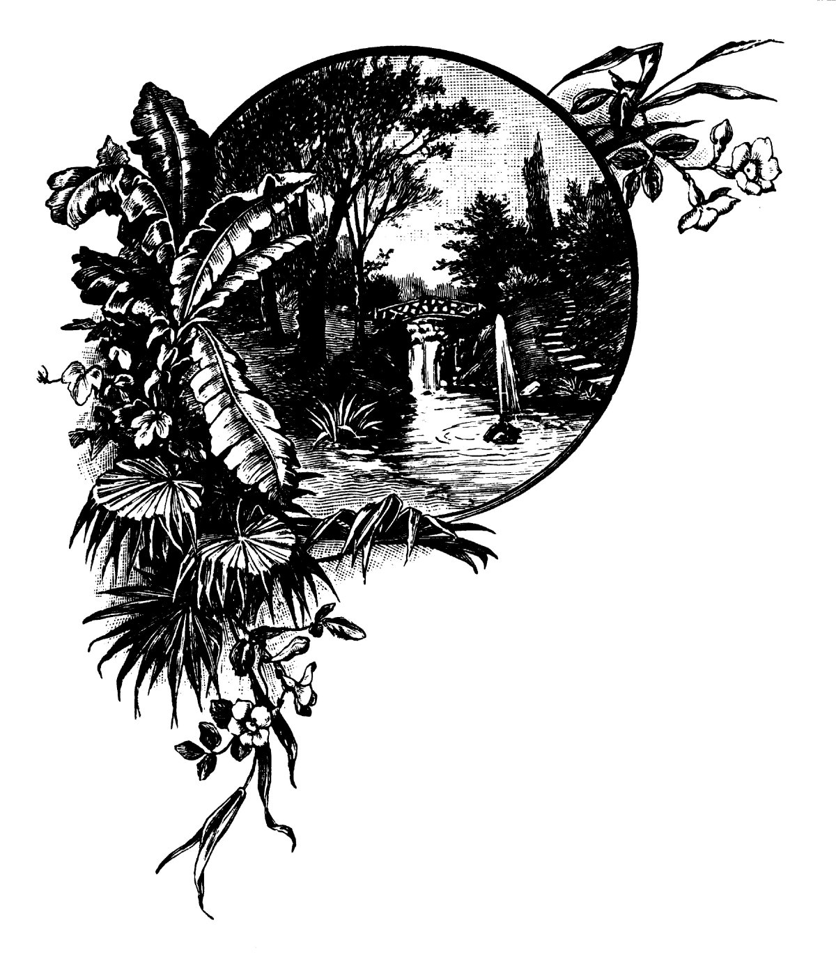 Рисунки для выжигания по дереву природа