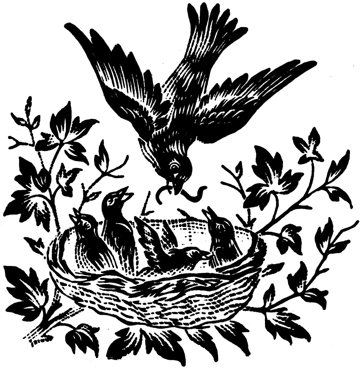 Рисунки для выжигания природа