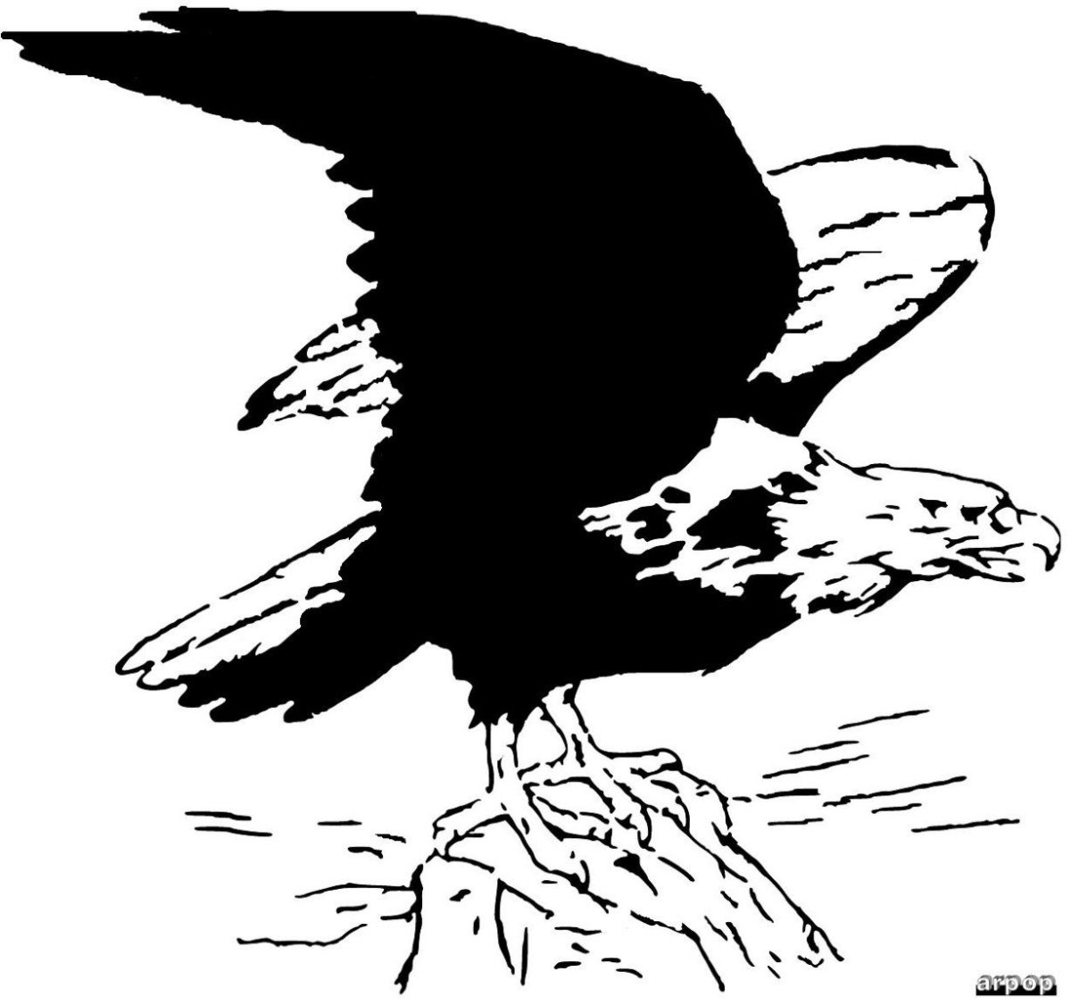 Орел для выжигания по дереву