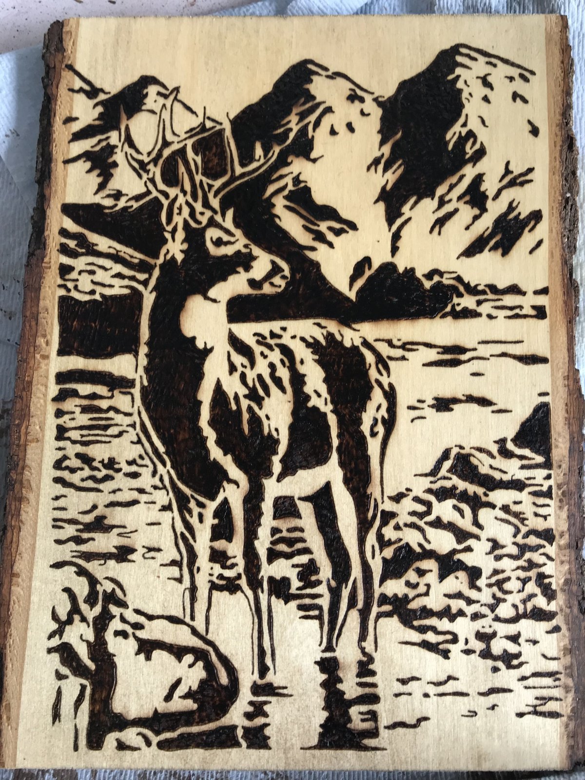 Силуэтное Выжигание по дереву