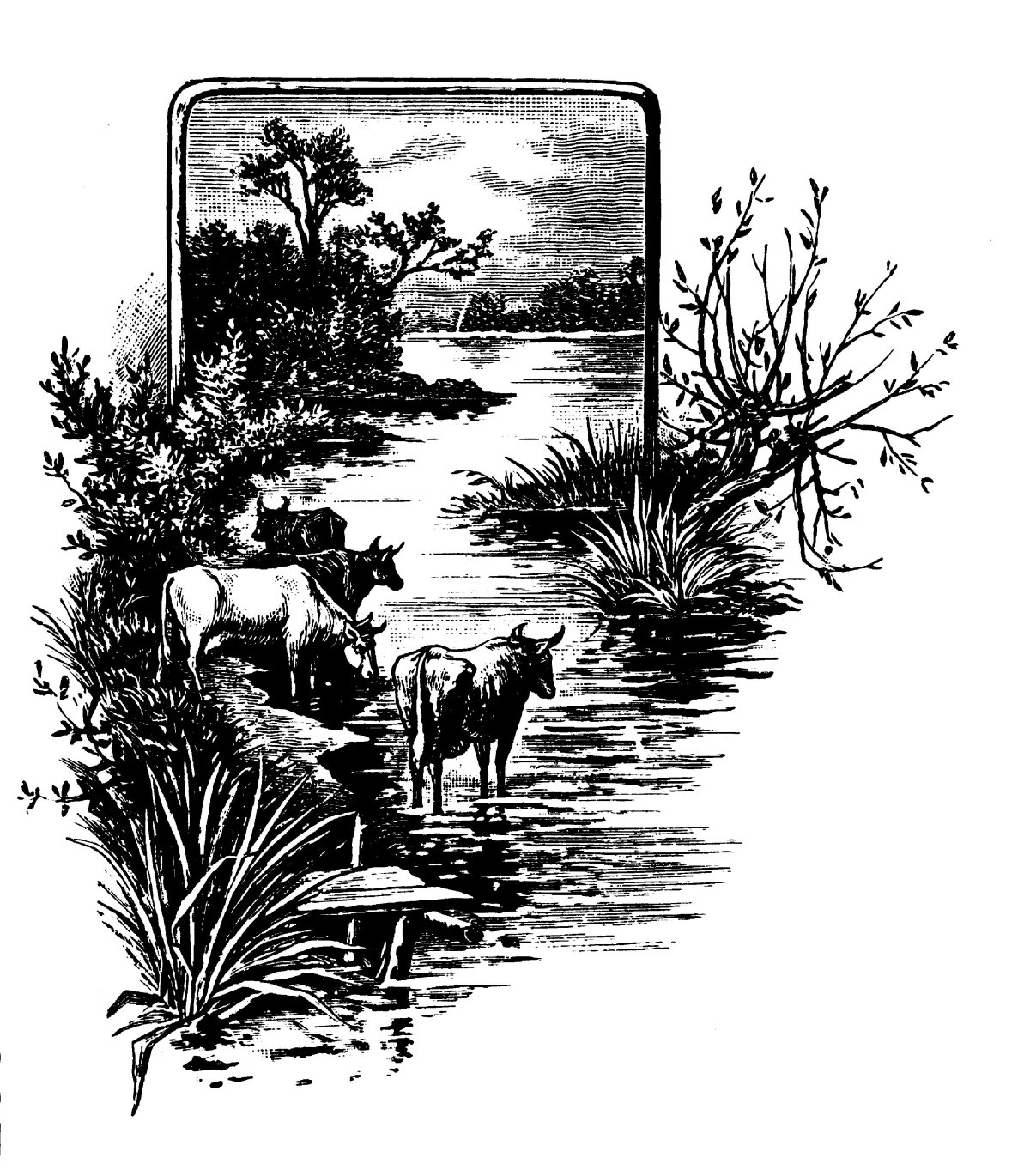 Пейзажи для выжигания по дереву