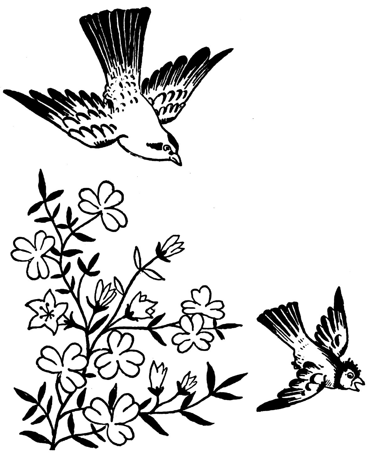 Птички для выжигания по дереву