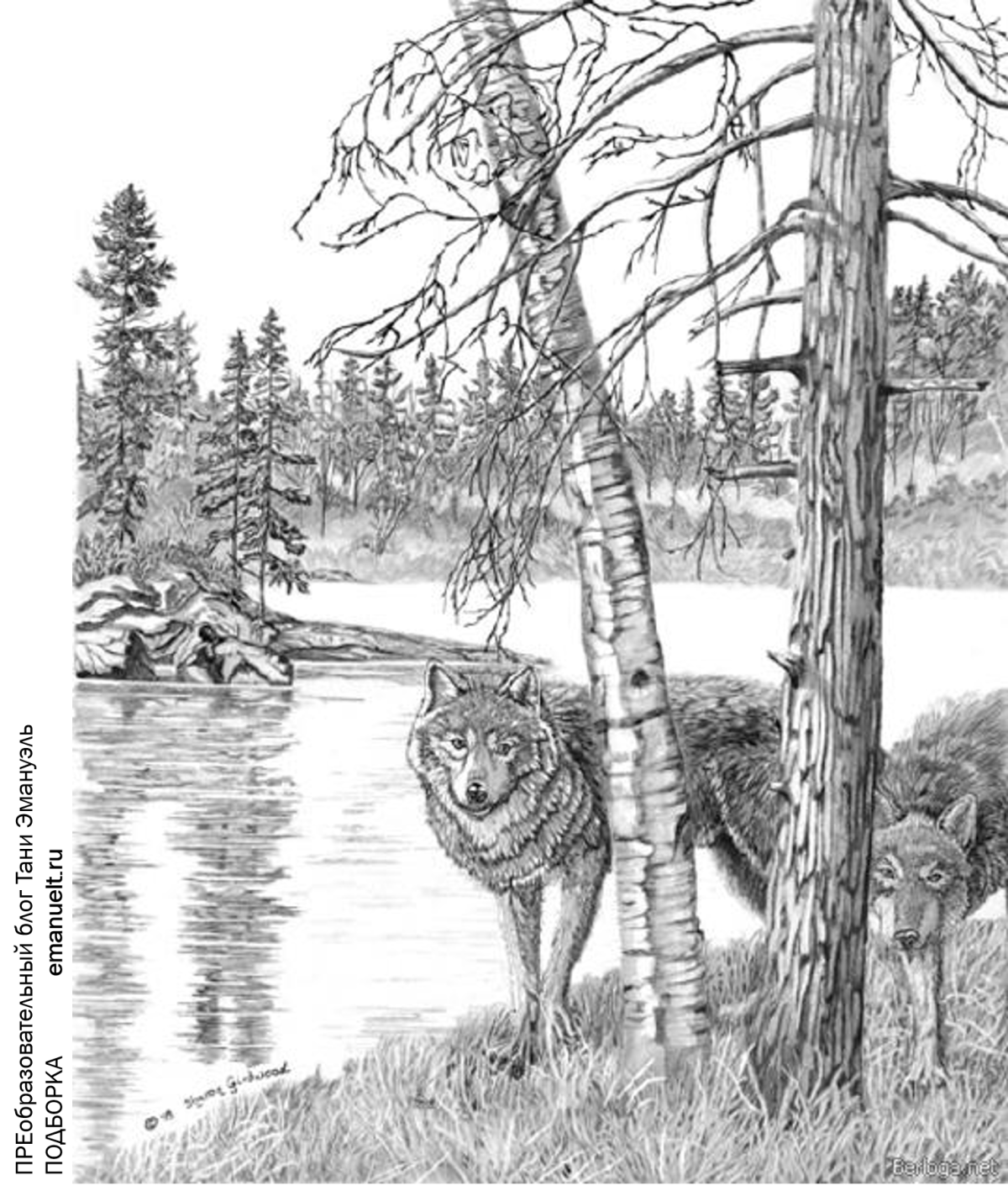 Пейзажи для выжигания по дереву