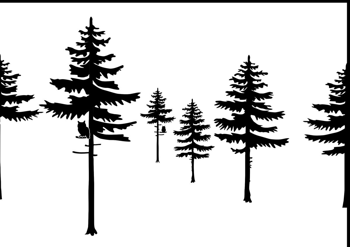 Силуэт дерева в окне