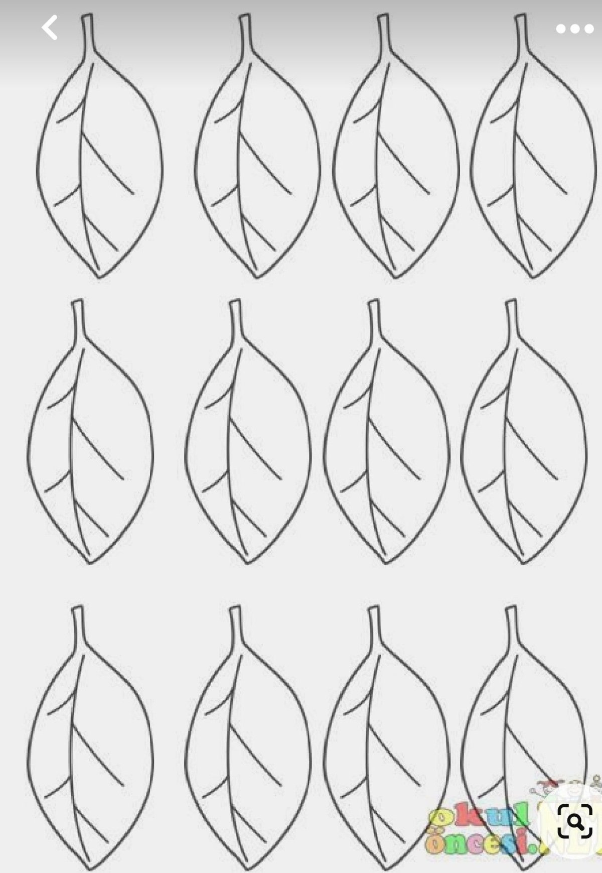 Шаблоны листьев яблони для вырезания из бумаги