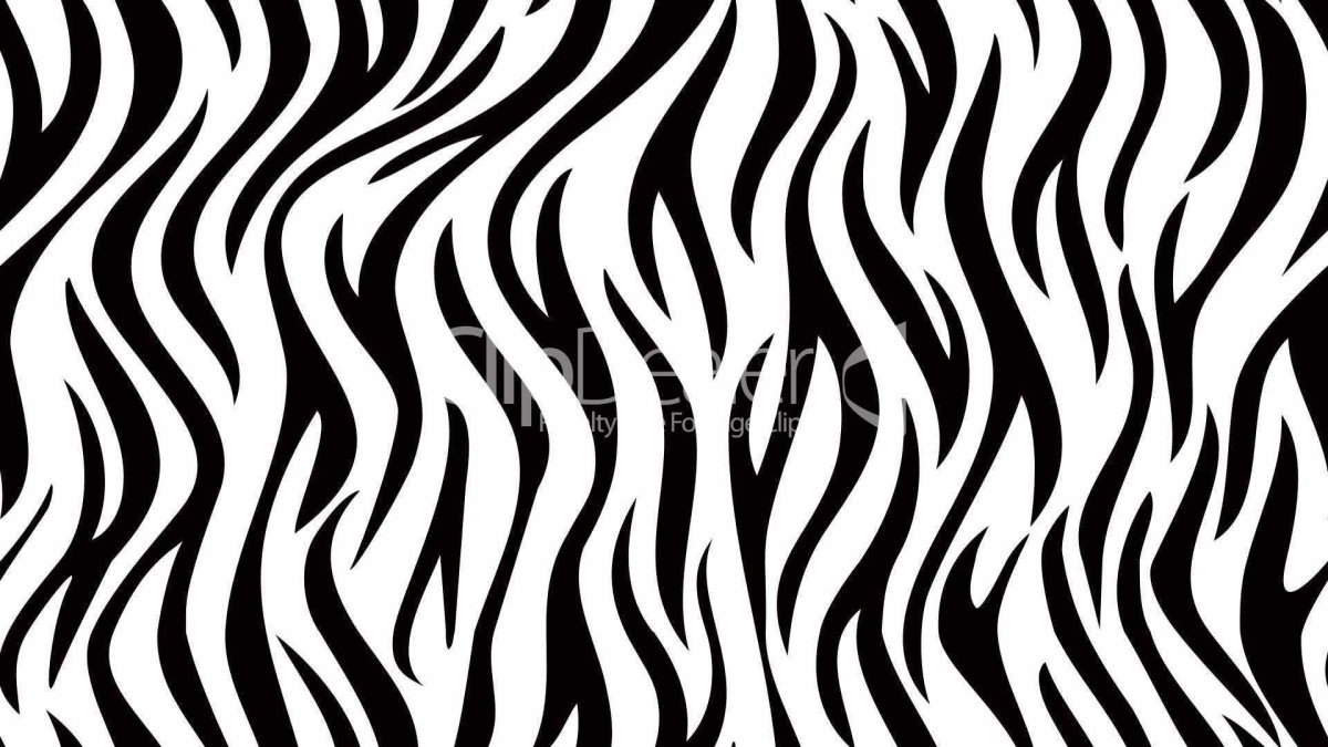 Тигриные полоски на белом фоне