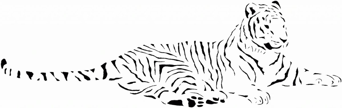 Тигр на белом фоне