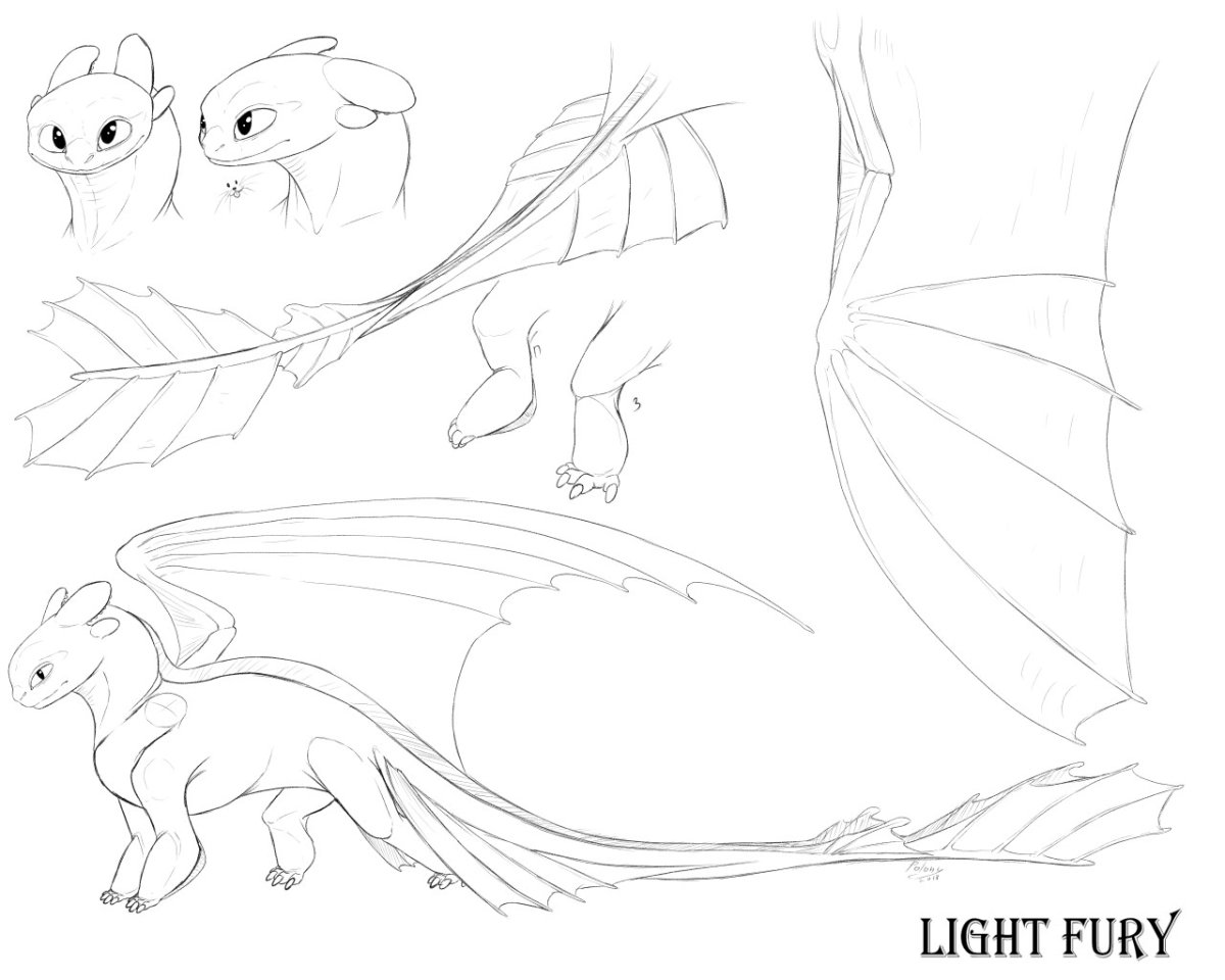 Лайн дракона ночной фурии лайн