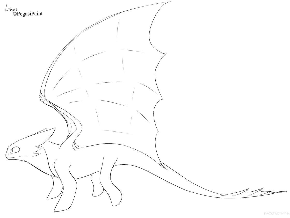 Лайн дракона ночной фурии малыш