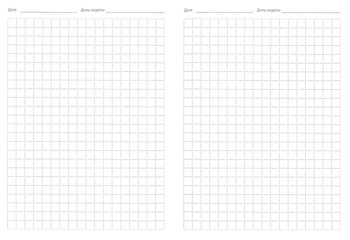 Блокнот в клетку