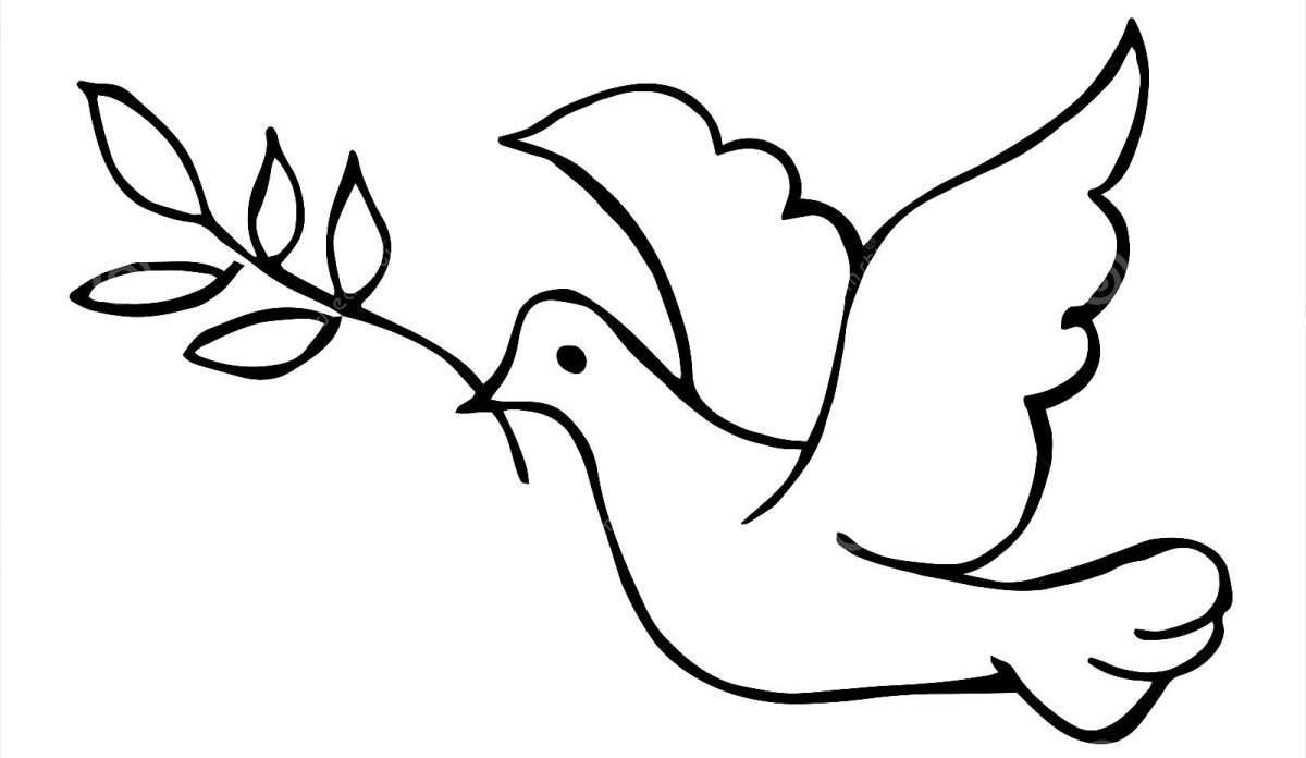 Голубь с веточкой рисунок