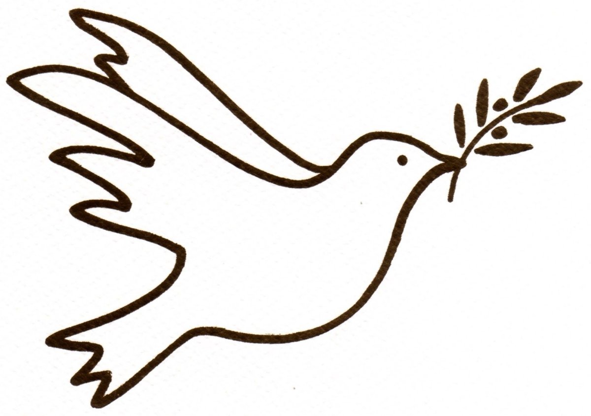Веточка голубю мира контур