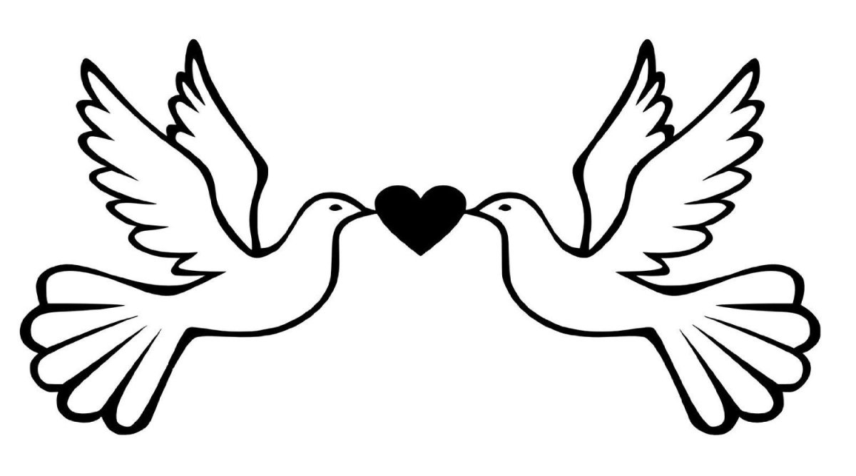 Голубь одной линией