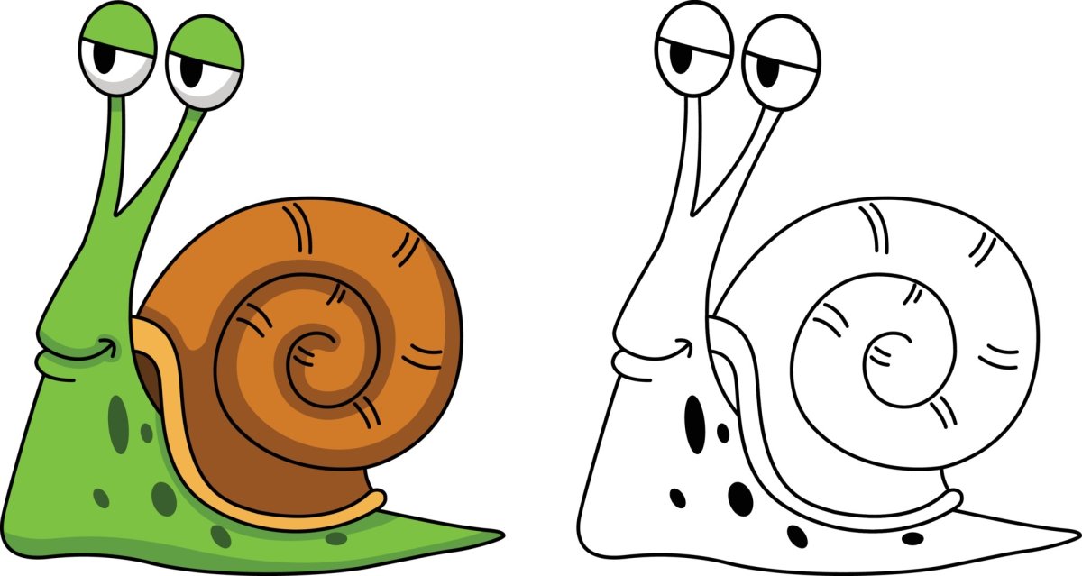 Snail Gary Clipart Black and White