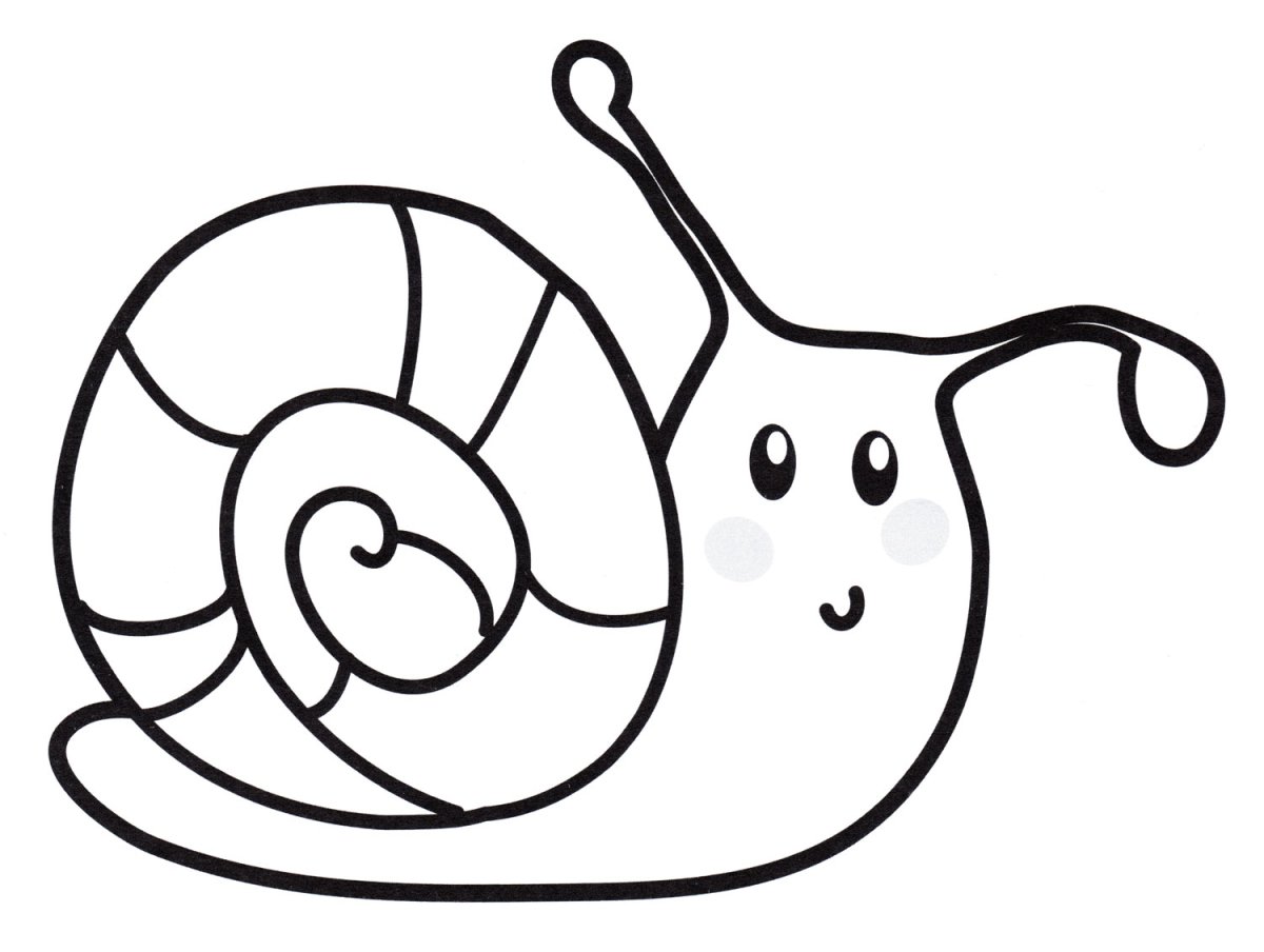 Улитка для детей черно белая