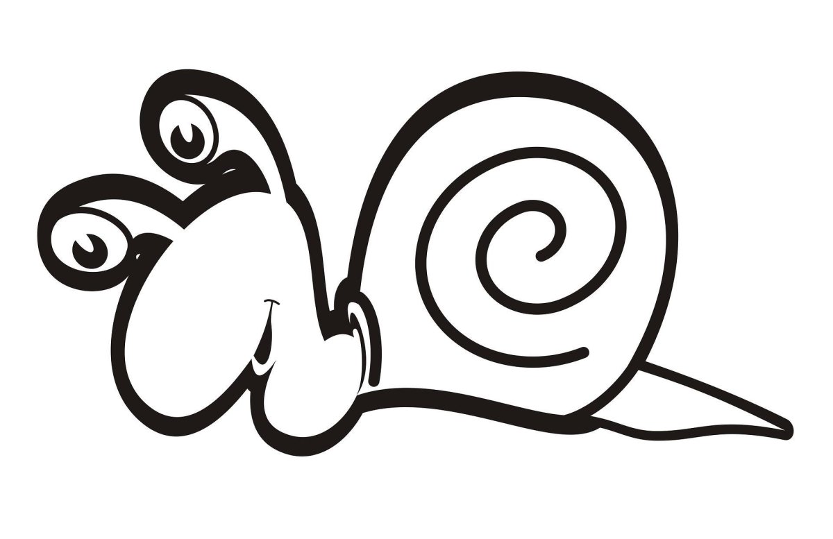 Улитка черно белая