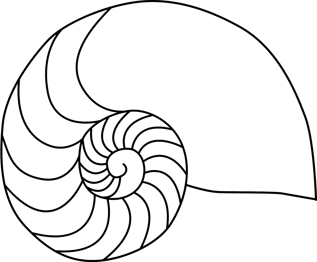 Наклейки черно белые улитки