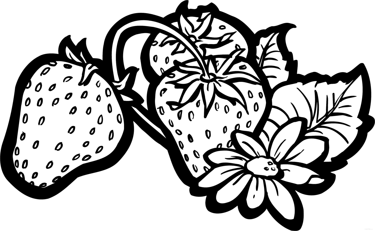 Клубника раскраска