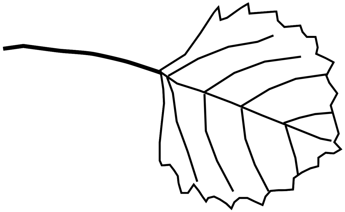 Листья шаблон