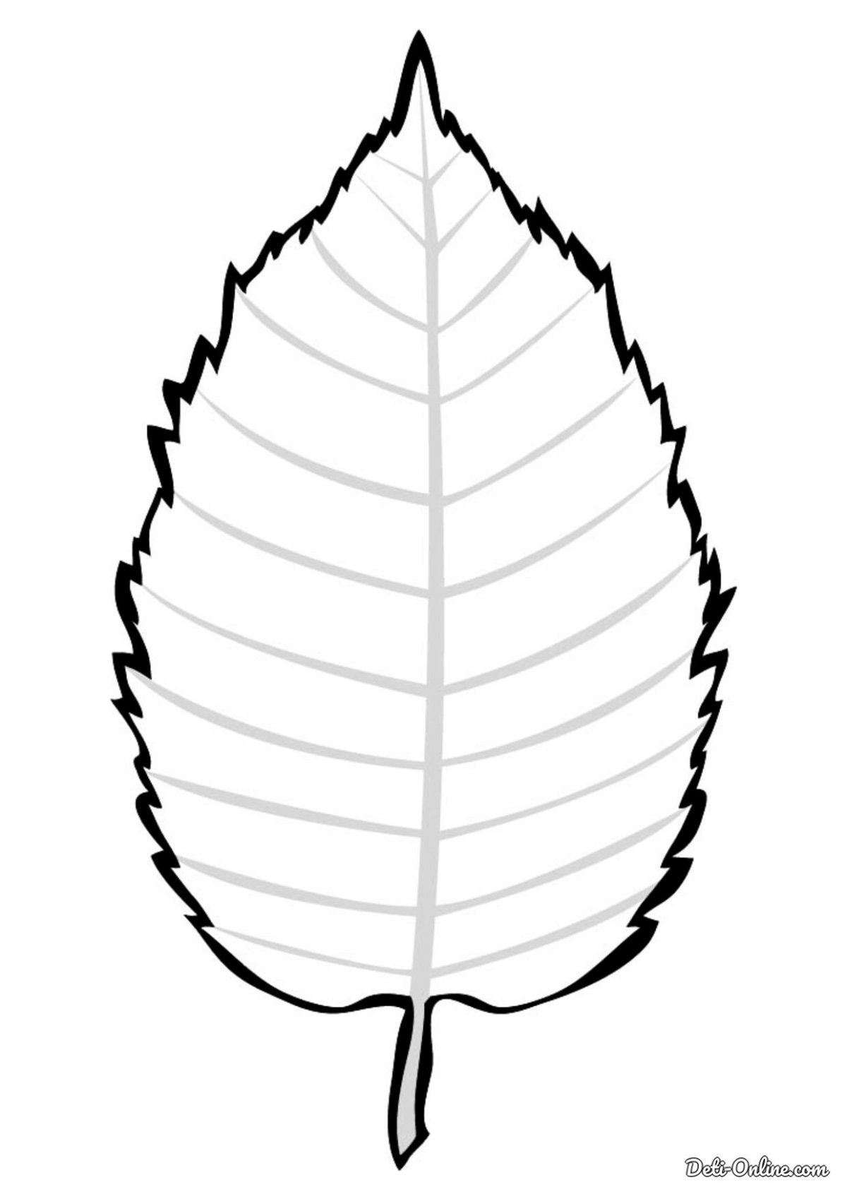 Силуэты листьев деревьев