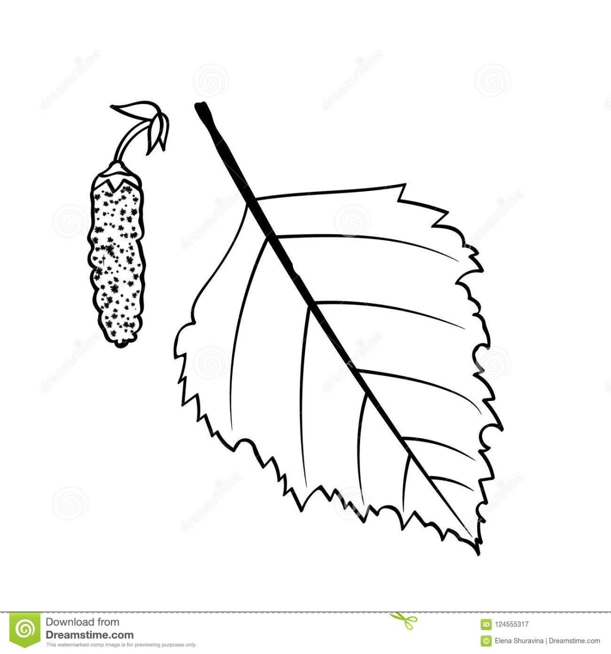 Листок березы