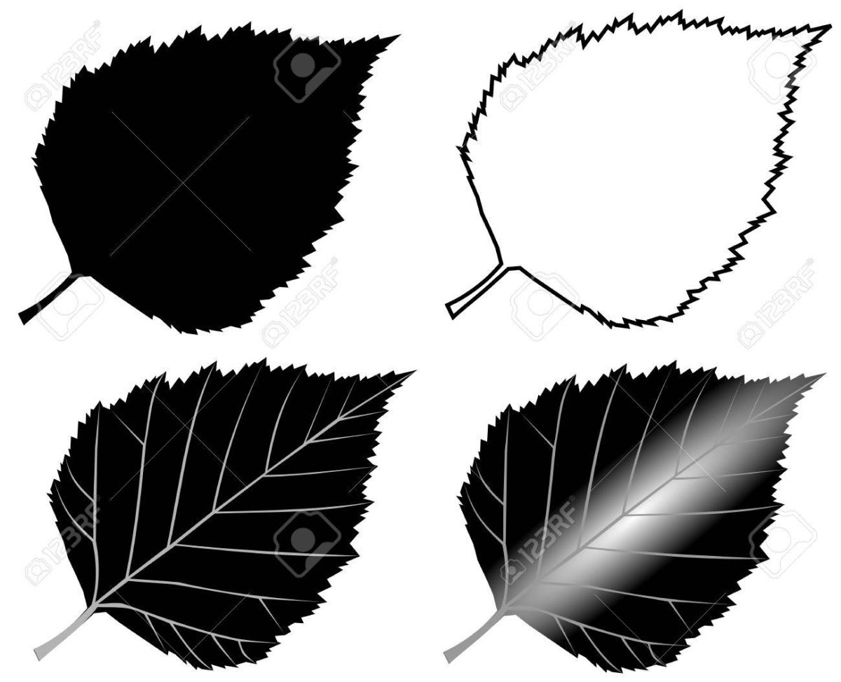 Лист березы трафарет для вырезания