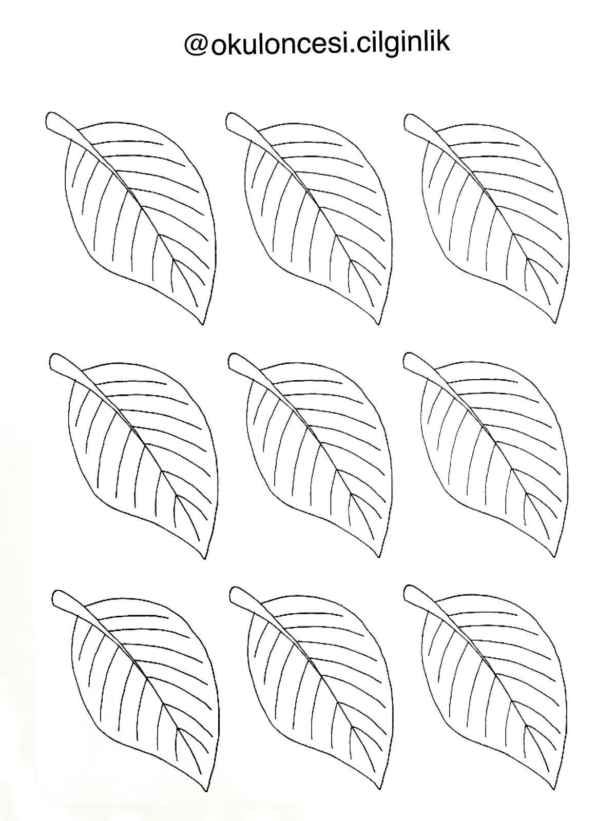 Листья раскраска