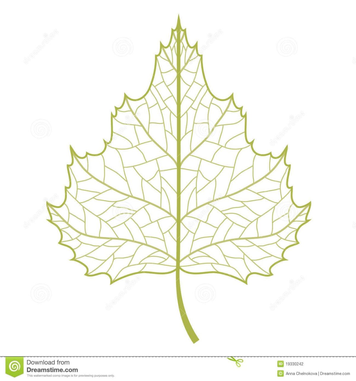 Ветка березы силуэт