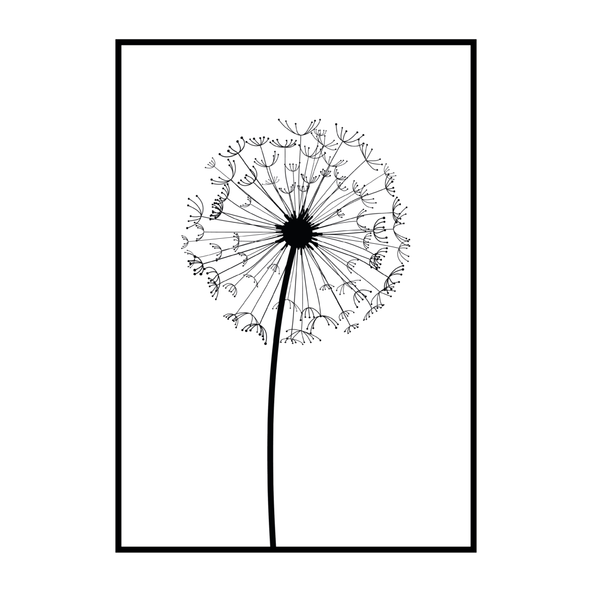 Одуванчик черно белый