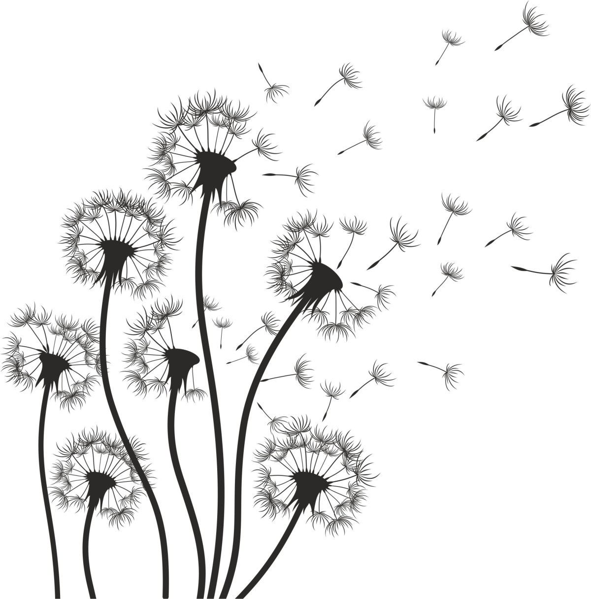 Одуванчик Графика