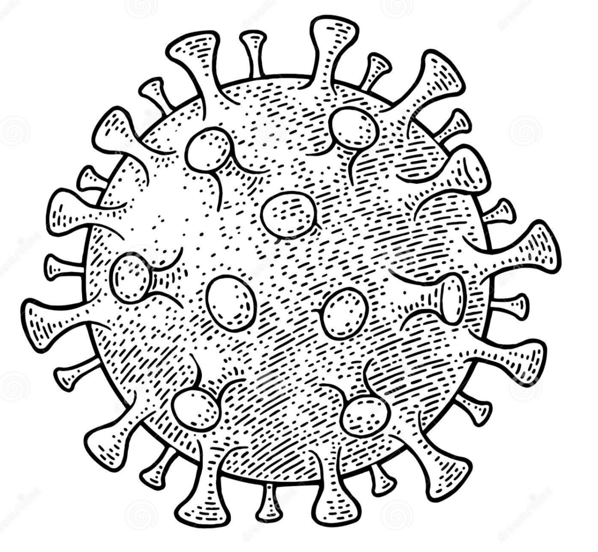 Коронавирус бактерия