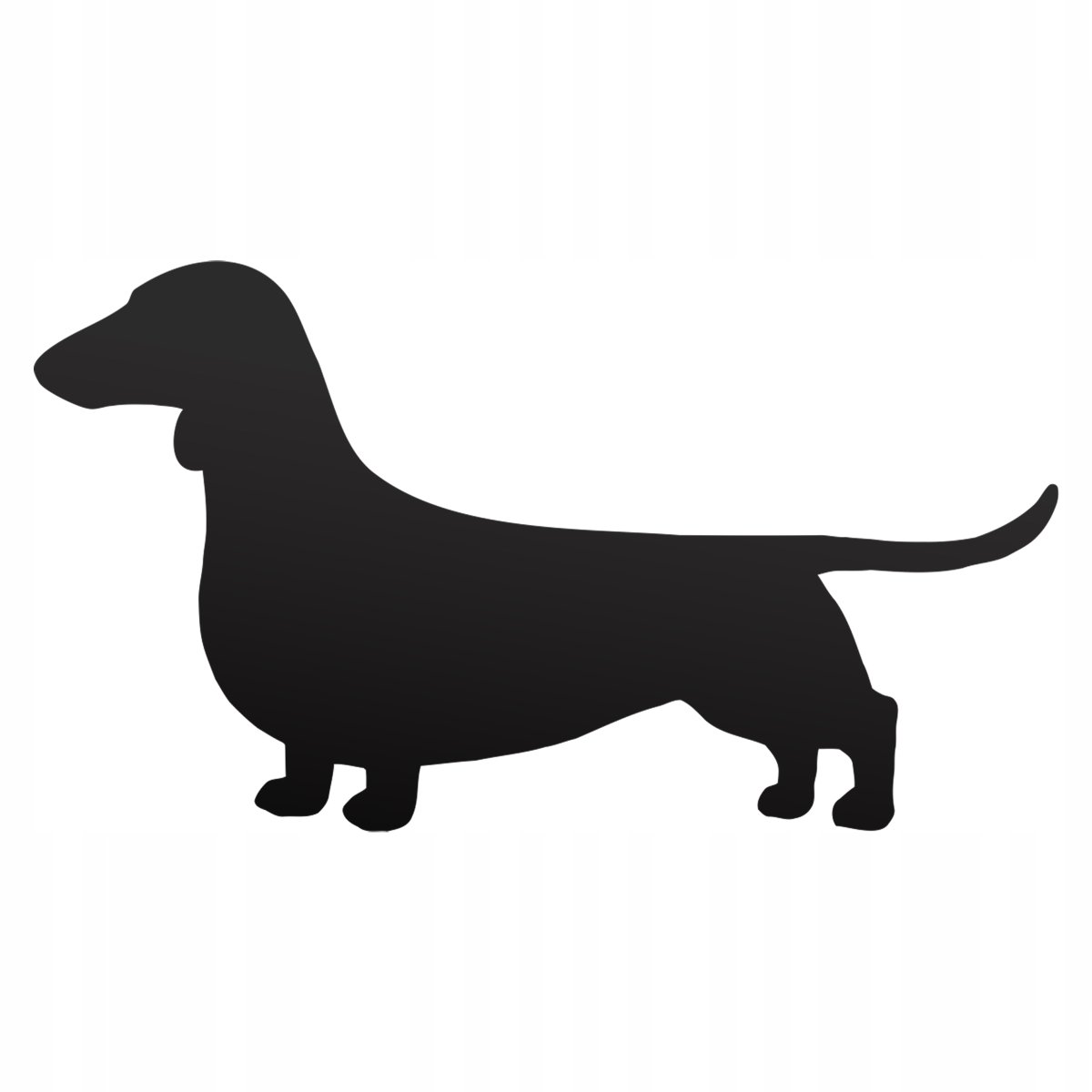 Такса сбоку