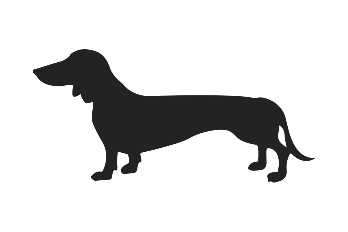 Такса трафарет