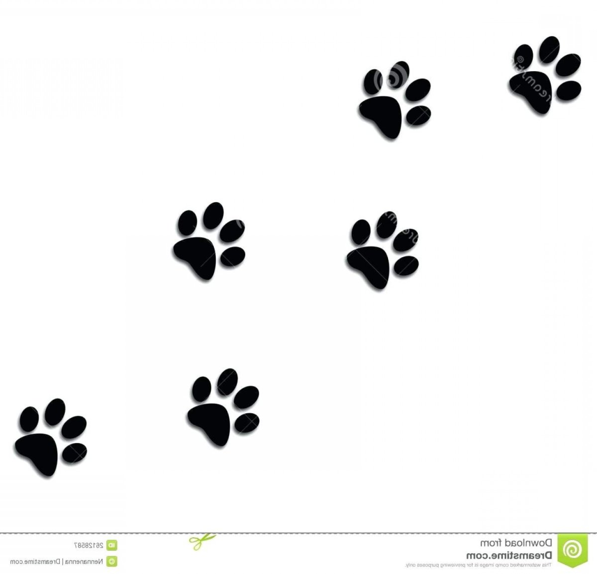 Кошачья лапка эскиз