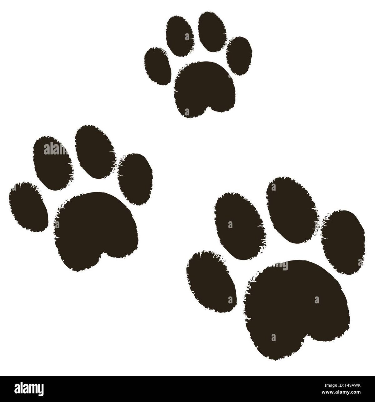 Трафарет лапка с тремя