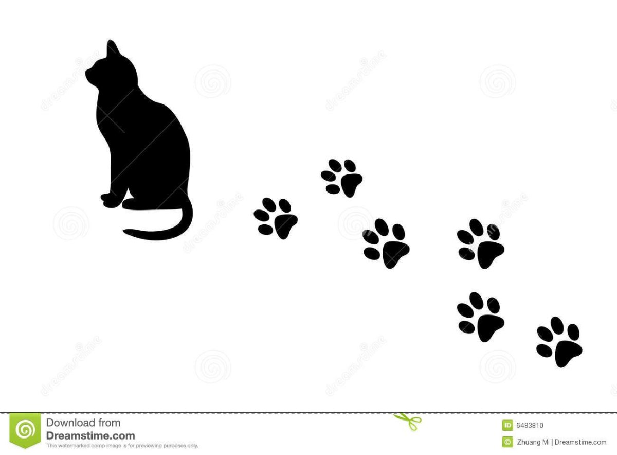 Следы кошки маленькие