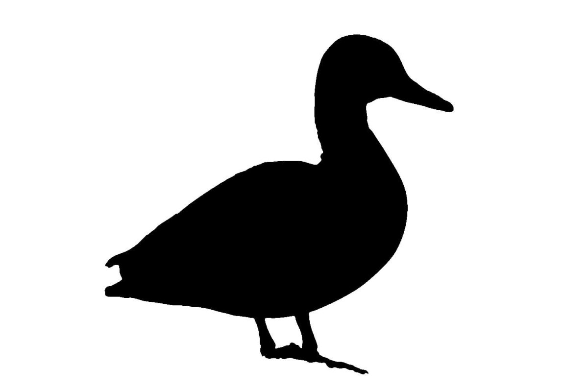 Трафарет гуся для вырезания