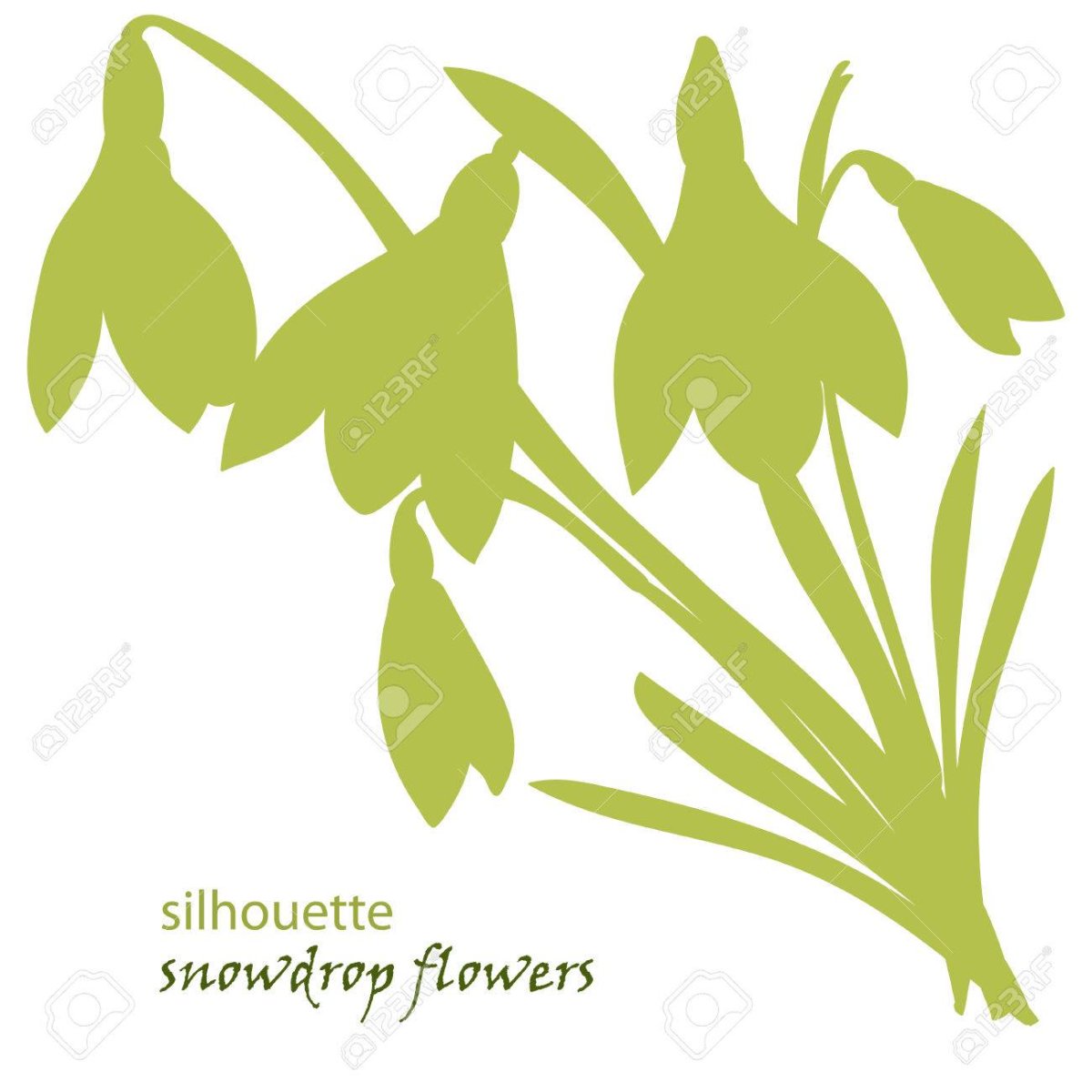 Трафарет тюльпана для вырезания