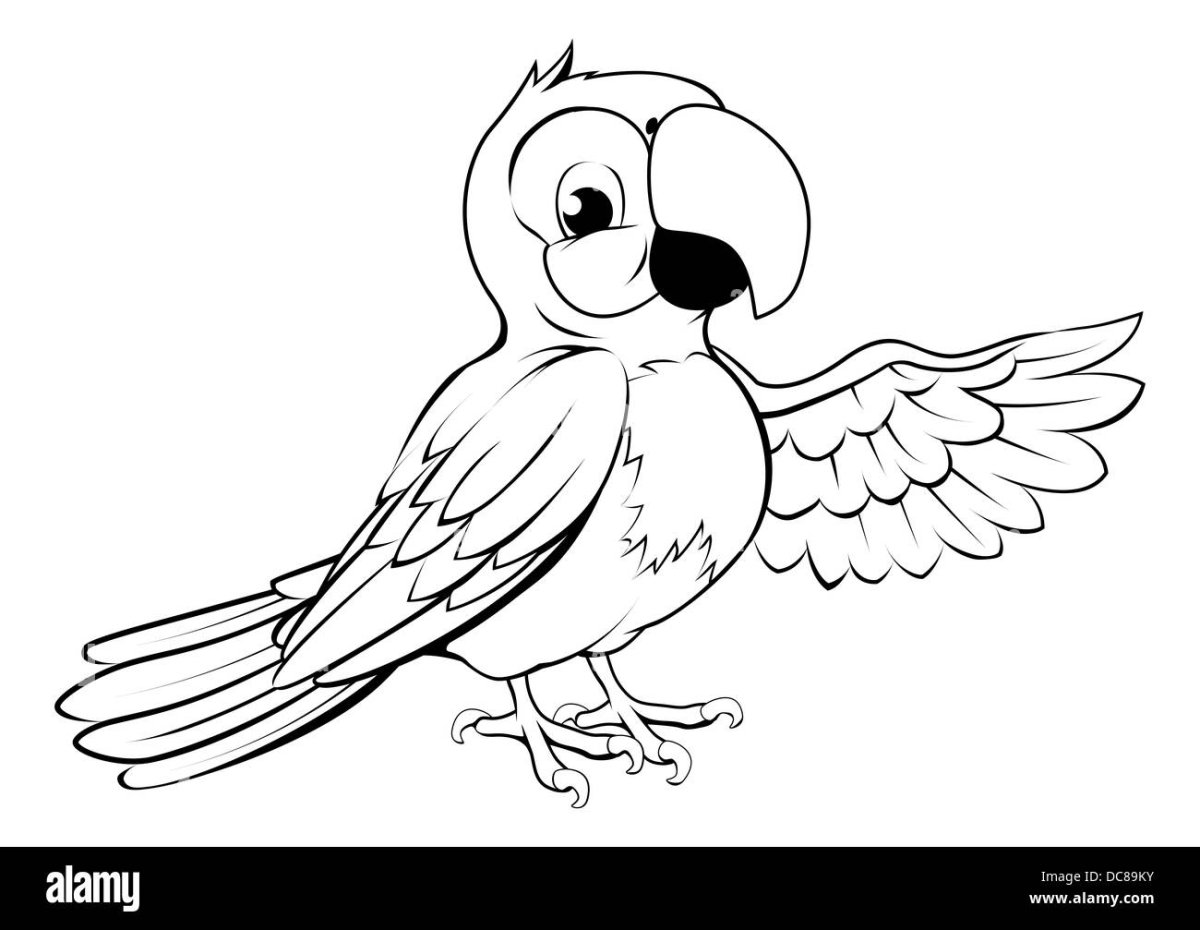 Раскрасы волнистых попугаев