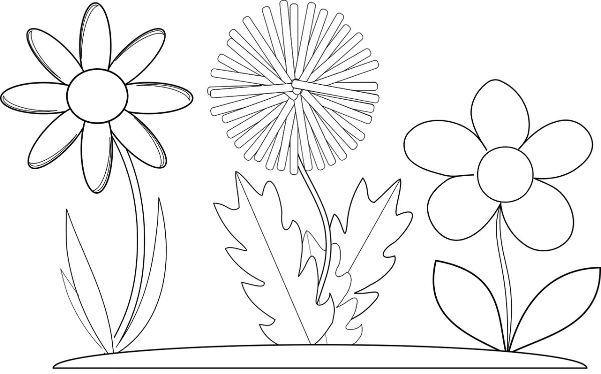 Летние цветы для вырезания
