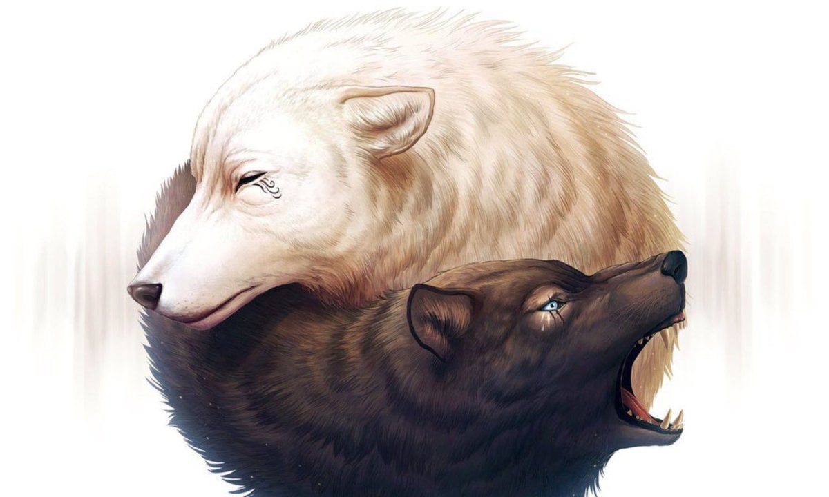 Два волка черный и белый