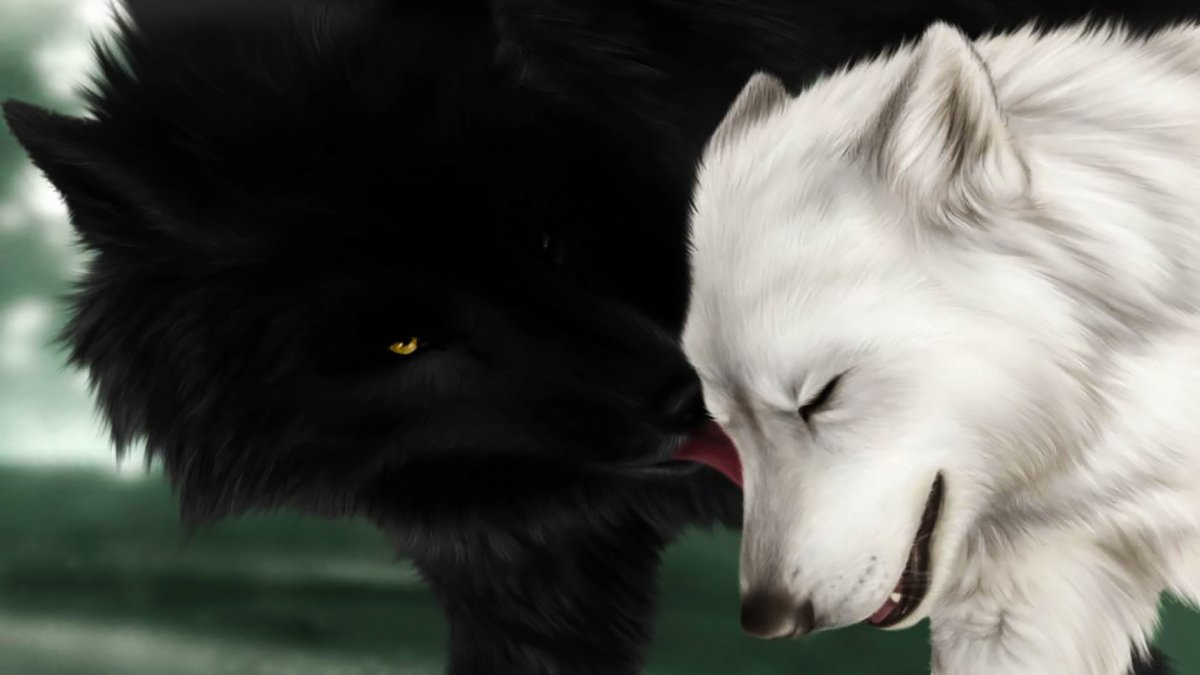 Два волка волчица и волк