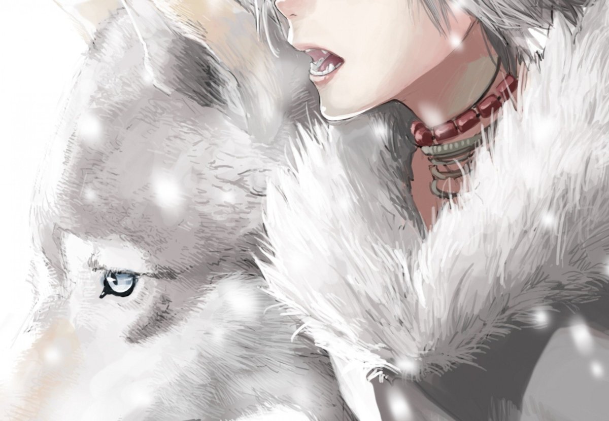 Кун полуволк