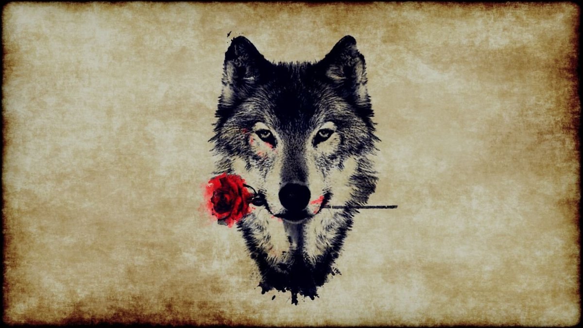 Обои на рабочий стол волк