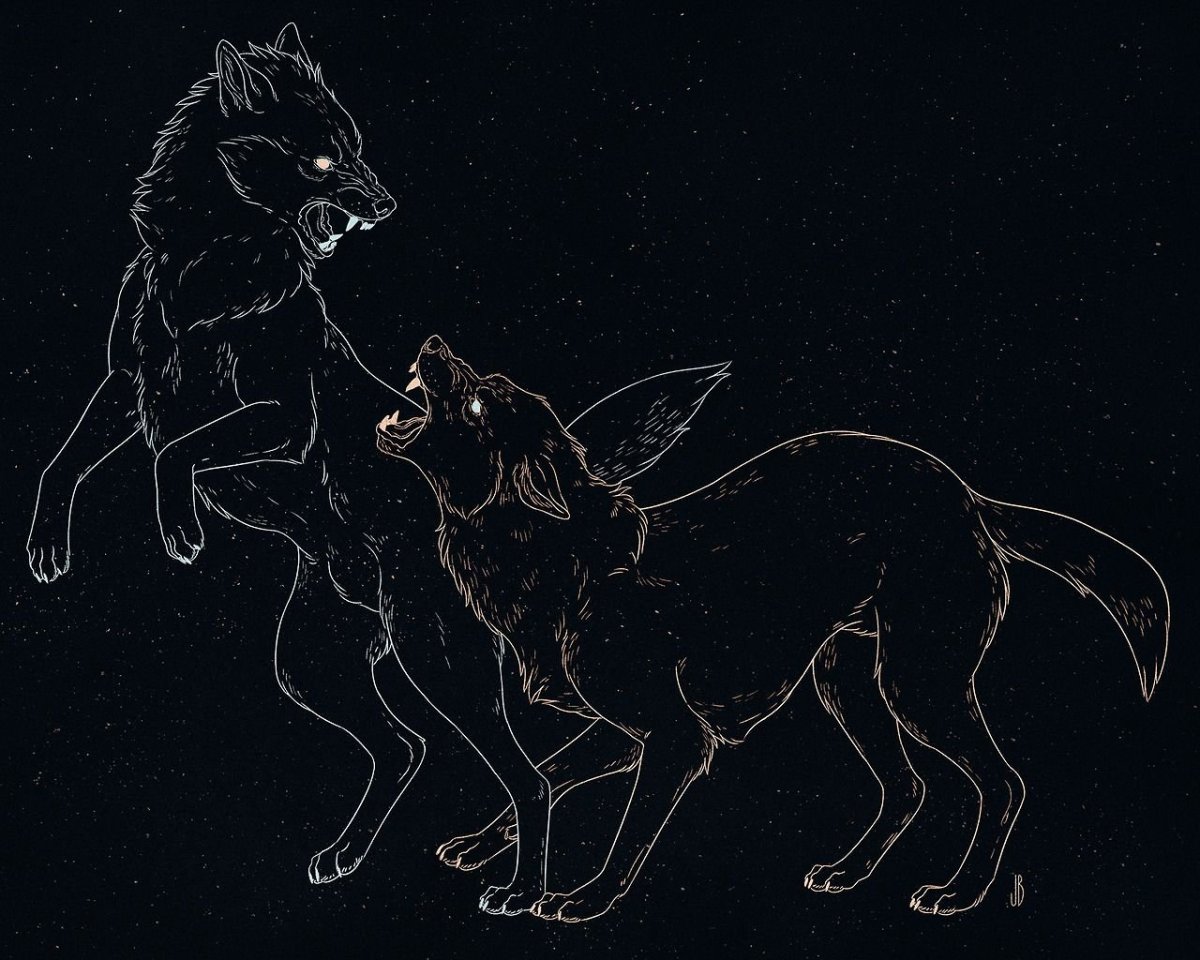 Jenna Barton Art волки