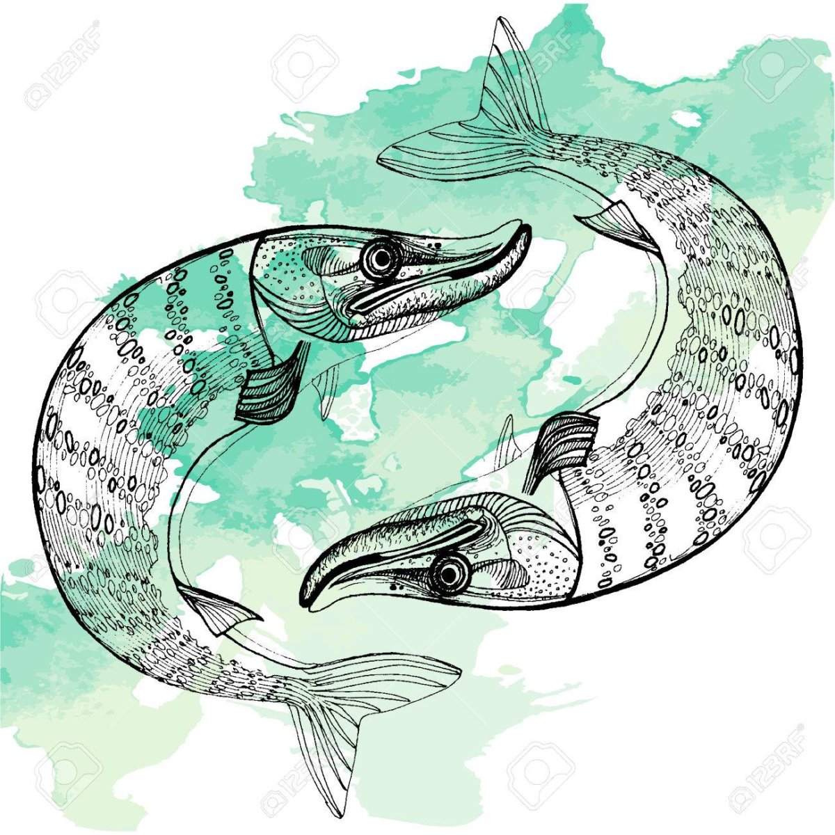 Стилизованное изображение щуки