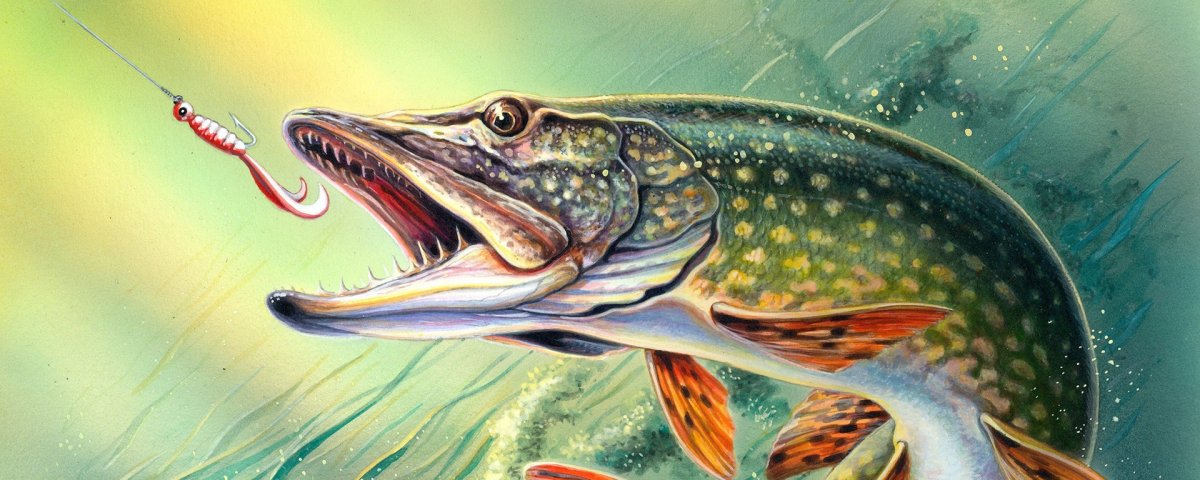 Щука агрессивная