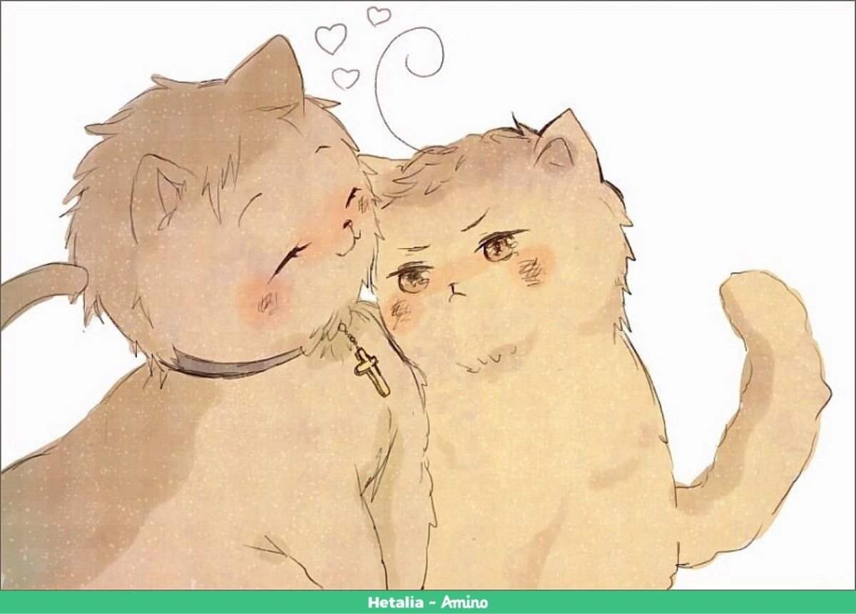 Арты с обнимающимися котами